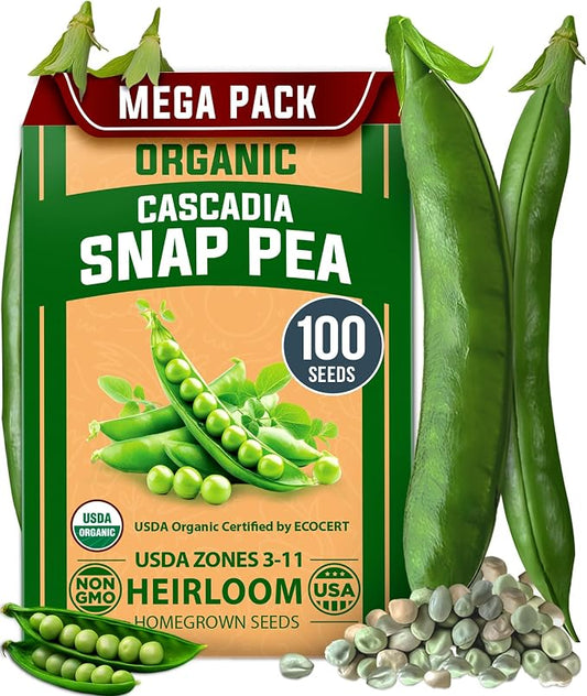 HOME GROWN Organic Cascadia Snap Pea Seeds 100+ Heirloom Non-GMO Seeds for Planting, High Germination, Sweet Edible Pods, Stringless Sugar Snap, Cool Season Garden, Containers (Pisum sativum)