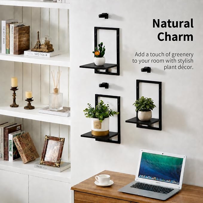 Wall Plant Holder with Grow Lights Set of 2 for Indoor Outdoor, Floating Flower Display Stand for Living Room, Bedroom, Bathroom, Kitchen, Entryway, White (3, Black)