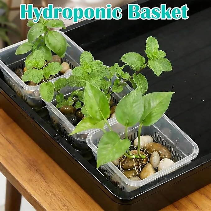 BTPLASTIK Clear Square Nursery Pots, 30 Packs 4 Inch Clear Hydroponics Growing Square Pots, Transparent Plastic Plant Pots for Seed Starting, Root Cutting