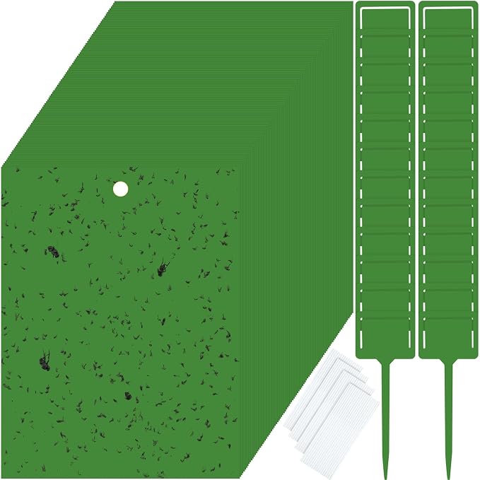 Qualirey 150 Pcs Green 6 x 8 Inch Sticky Traps for Gnats Dual Sided Fruit Fly Sticky Traps for Indoor and Outdoor Plant with Twist Ties and Plastic Holders for Fungus Gnats, Bug, Flying Insect