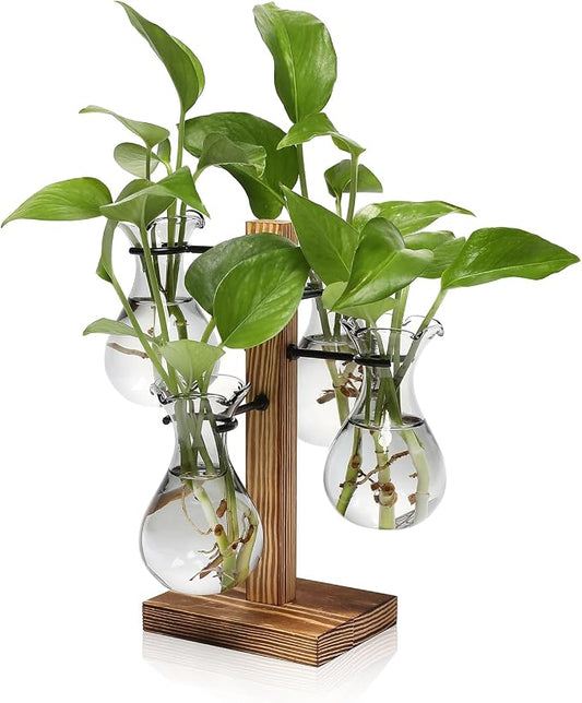 Plants Propagation Stations Bulb Glass Propagation Birthday Gift for Women Garden Plant Lovers - 4 Bulb