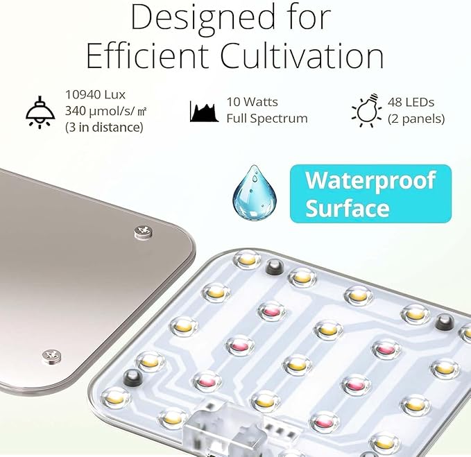Full Spectrum LED Grow Light for Indoor Plants, 2 Panels 10W with 6/12/16h Timer Dimmable Plant Lights for Flower Veg Plant Growth USB,Daylight White, 1-Pack Kit