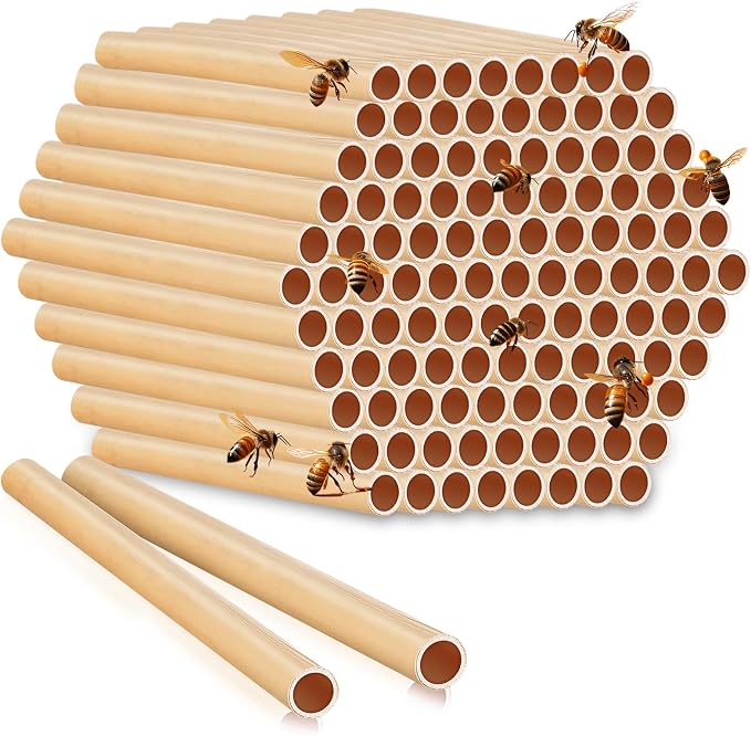 Tinideya 250 Pcs Phragmite Reed Mason Bee Tubes Set Bee Hotel Nest Box Pollinator Bee Box for Mason Bee Houses Natural Phragmite Bee Nest Bees Supplies Refill Your Mason Bee House Bee Hive