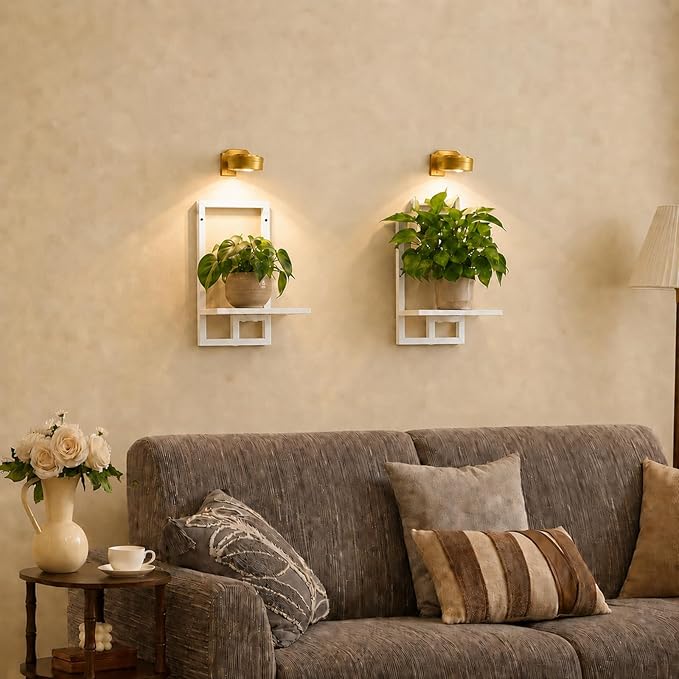 Wall Plant Holder with Grow Lights Set of 2 for Indoor Outdoor, Floating Flower Display Stand for Living Room, Bedroom, Bathroom, Kitchen, Entryway, White