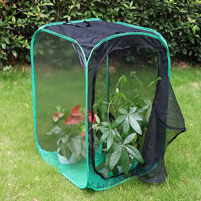 RESTCLOUD 36" Large Monarch Butterfly Habitat, Giant Collapsible Insect Mesh Cage Terrarium Pop-up 24 x 24 x 36 Inches