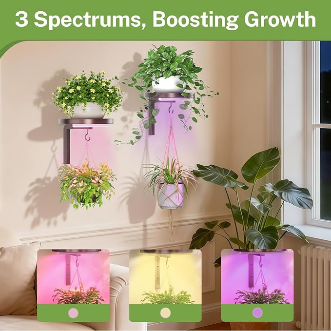 iDavosic.ly Wall Plant Holder with Grow Lights Set of 2 for Indoor Outdoor, Metal Hanger with 2 Hooks, Floating Flower Display Stand for Window, Space Saving & Easy to Assemble (Pots Not Included), Bronze