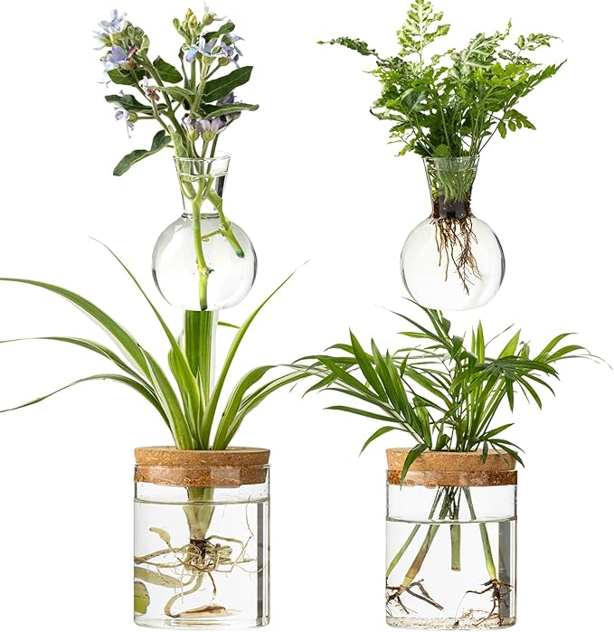 Plant Propagation Stations, 2 Style Glass Planter Terrariums, Propagation Vases for Plant, Plant Propagation Jars for Hydroponic Planter Home Office Tabletop Decoration (4)