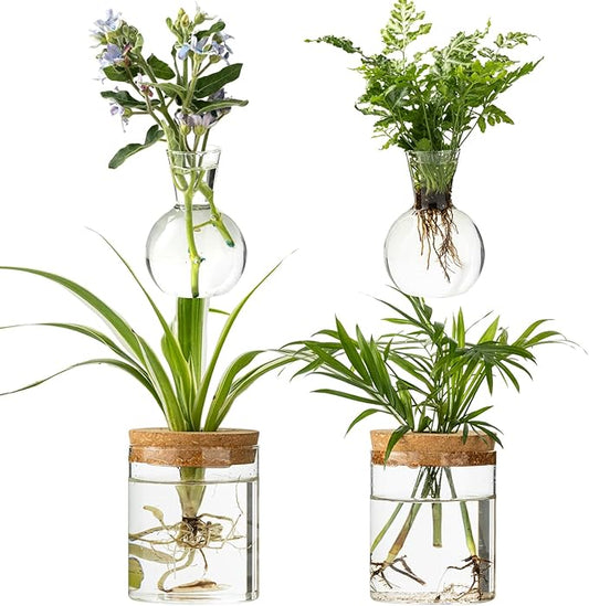 Plant Propagation Stations, 2 Style Glass Planter Terrariums, Propagation Vases for Plant, Plant Propagation Jars for Hydroponic Planter Home Office Tabletop Decoration (4)