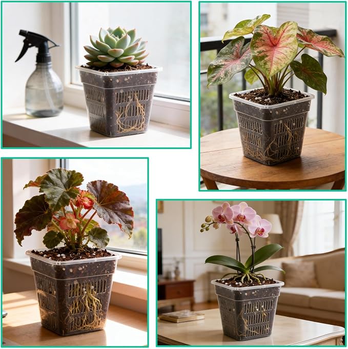 BTPLASTIK Clear Square Nursery Pots, 30 Packs 4 Inch Clear Hydroponics Growing Square Pots, Transparent Plastic Plant Pots for Seed Starting, Root Cutting