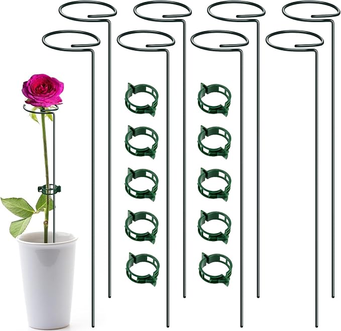 Green Metal Plant Support Stakes with Rings (Pack of 8) and 10 Plant Clips - Garden Single Stem Support Rod Set for Amaryllis, Rose, Tomato Seedling, Sapling