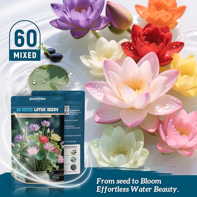 Lotus Seeds for Planting in Water – 60 PCS Mixed Bowl Lotus Seeds, Water Lily & Water Plants for Ponds, Live Pond Plants for Outdoor Ponds, Floating Pond Plants – Indoor Bonsai, Garden, Koi Pond