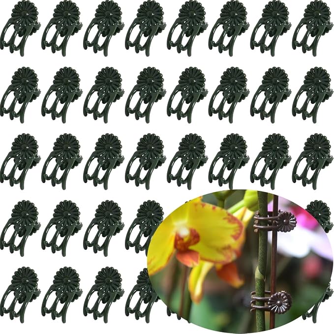 Orchid Clips for Plants Support (100, Green) for Small - Middle Climbing Plants Vine Plants & Single Stem Plants