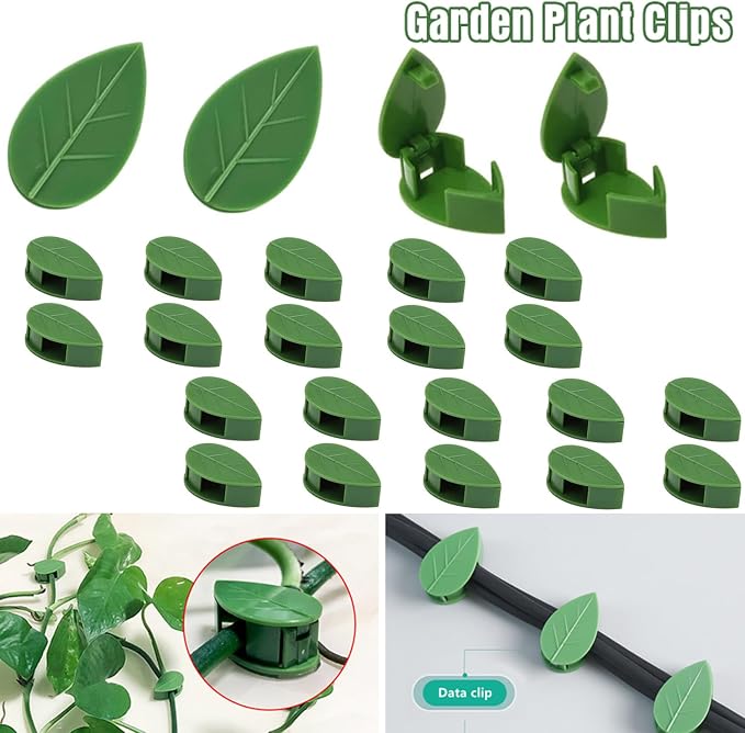 LUOTIVON 24 Pcs Plant Climbing Wall Fixture Clips, Plant Fixer Invisible Wall Vines Fixing Clips with 24 Pcs Acrylic Adhesive Sticker, Self-Adhesive Hook Plant Vine Support Holder