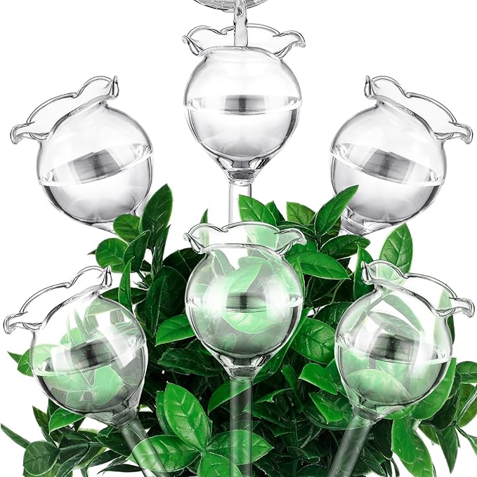 Yungyan 6 Pcs Glass Plant Watering Globes Self Watering Planter Insert Glass Water Bulbs for Indoor Plants Automatic Plant Water Devices for Indoor Outdoor Plants(Clear Tulip,5.31 Inch)