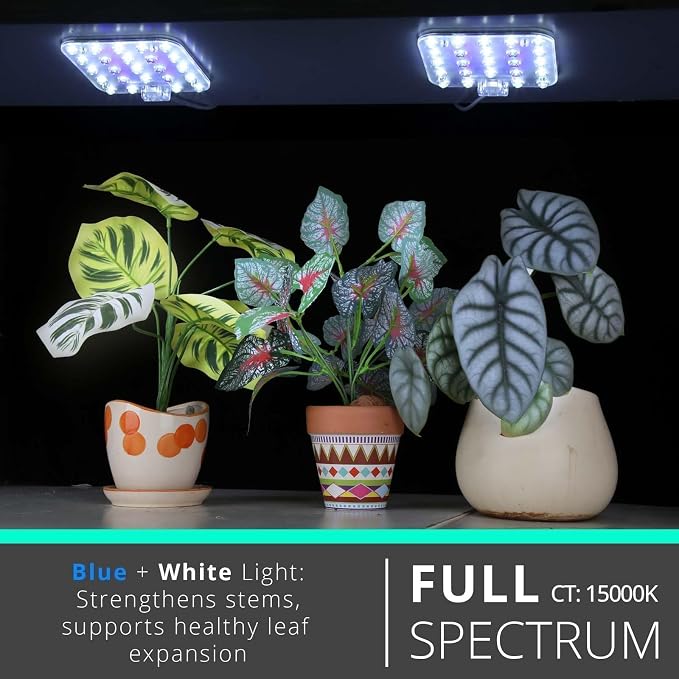 Full Spectrum LED Grow Light for Indoor Plants, 2 Panels 10W with 6/12/16h Timer Dimmable Plant Lights for Flower Veg Plant Growth USB, Bluish White, 1-Pack
