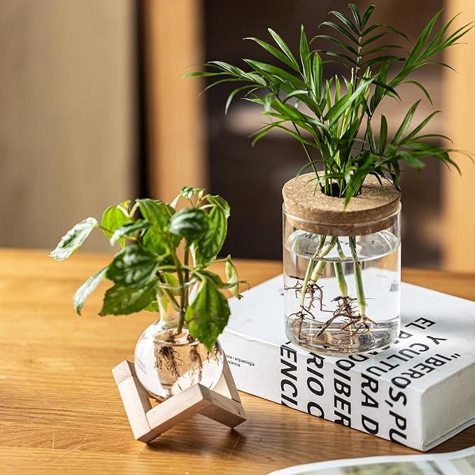 Plant Propagation Station, 2 Style Glass Planter Terrarium Set for Hydroponic Plants | Home Office Tabletop Decor, Gardening Gifts for Women, Mom, Plant Lovers (12)