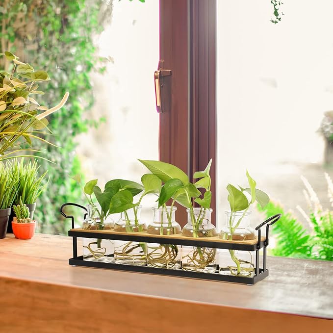 THYGIFTREE Plant Propagation Stations with Metal Stand, Tabletop Plant Terrarium for Propagating Hydroponic, Retro Glass Planter Flower Vase Home Kitchen Office Decor Gifts, 5 Jars