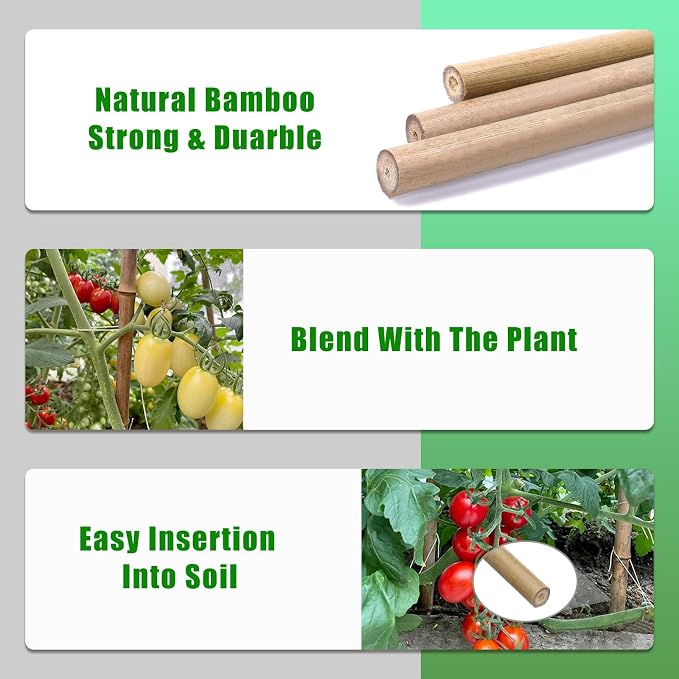 Plant Bamboo Post,4.8Feet,Bamboo Garden Stakes,50PcsBamboo Stakes,for Tomato,Beans,Vegetable and Flowers, Potted Plants,Indoor and Outdoor Climbing Plants