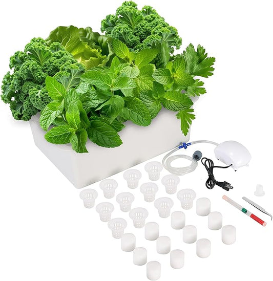Hydroponics Growing System Kit with Air Pump, Bubble Stone, 12-Hole Indoor Hydroponic System Grow Box, Indoor Gardening System & Hydroponic Kit Vegetable & Herb Garden Starter Kit