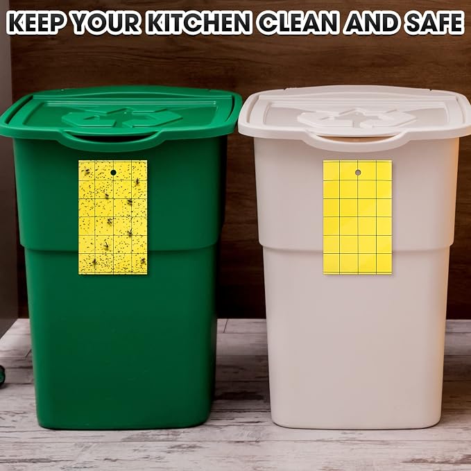 Qualirey 100 Sticky Trap for Gnats 3 x 5'' Dual Side Sticky Fruit Fly Trap with Tie Plant for Flying Insect Fungus Bugs Flying Catcher for Indoor (Yellow)