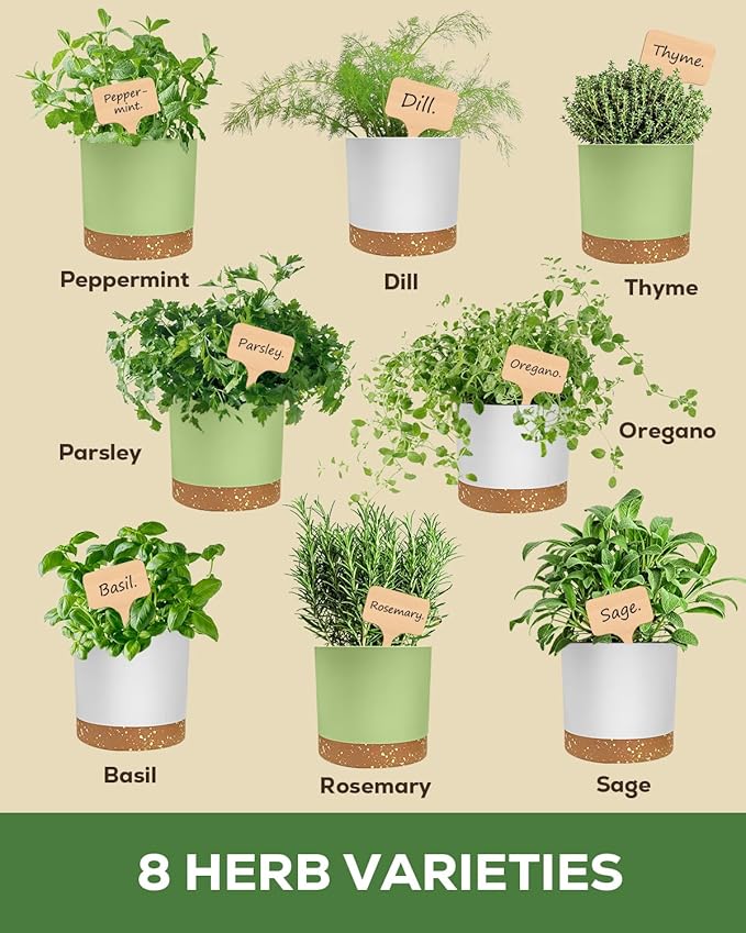 8 Herb Indoor Garden Kit – Gardening Gifts for Mom, Women & Her | Complete Kitchen Seed Starter Set | Unique Christmas, Housewarming & Home Gifts