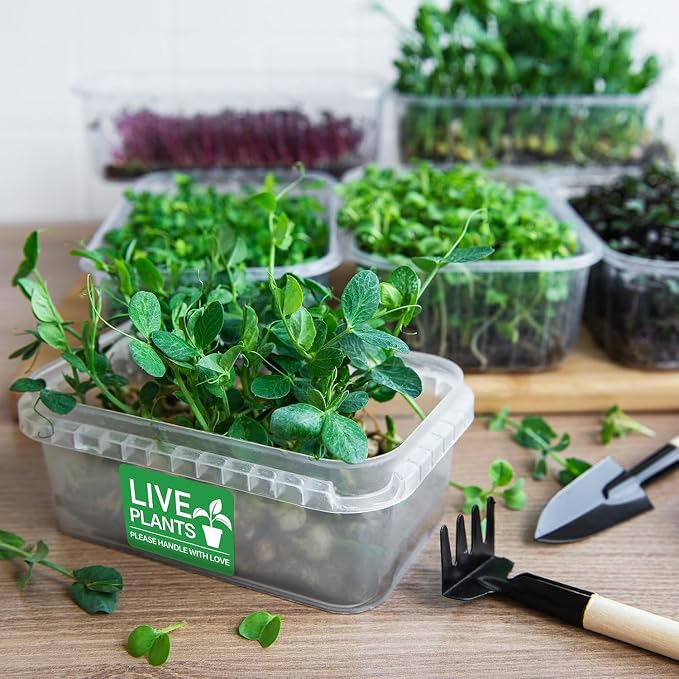 Green Live Plants Stickers for Shipping 2x3 inch Please Handle with Love Stickers Fragile Shipping Labels for Warehouse Pallet Garden Centers,Landscaping,Nurseries 250pcs Live Plants Sticker per roll