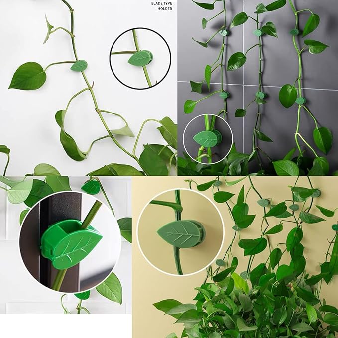 QRWT 30 Pieces Plant Climbing Wall Fixture Clips Self-Adhesive Plant Fixer Invisible Wall Vines Fixing Clips Hook Plant Vine Traction Cable Wire Fixing