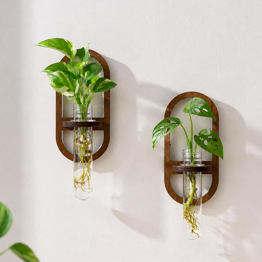 Artilady Plant Propagation Station 2 Pack Wall Hanging Plant Terrarium Holder with Test Tube Wood Window Planter Indoor Decor for Living Room Bedroom Kitchen (Oval)
