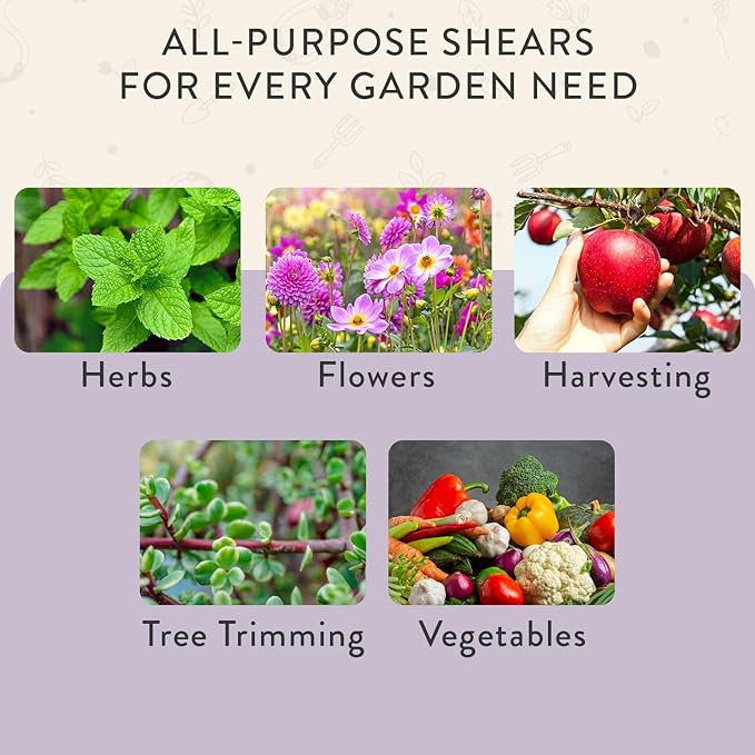 Modern Sprout Pruning Shears - Herb Snipping Scissors- Lightweight Gardening Tools W/Easy Lock - Flower Cutter Garden Shears-Gift for Father's Day-Carbon Steel Blade+Reusable Holster(Lavender, 1-Pack)