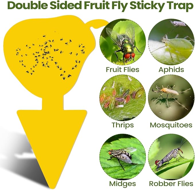 Qualirey 200 Sheets Fruit Fly Sticky Traps for Fruit Fly Gnat Trap for House Indoors Sticky Traps Catcher for Gnats Fungus Gnats Mosquito Catcher for Kitchen Outdoor Plants (Cute Style, Yellow, Green)