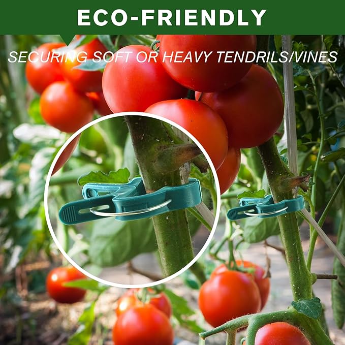 A Plant Clamp Used for Climbing Plants,Horticultural Clip Used to Support Climbing of Flower Stems, Vines, Vegetables, and Tomatoes,Vine Clip for Garden Vine Training(Green, 60 Big)