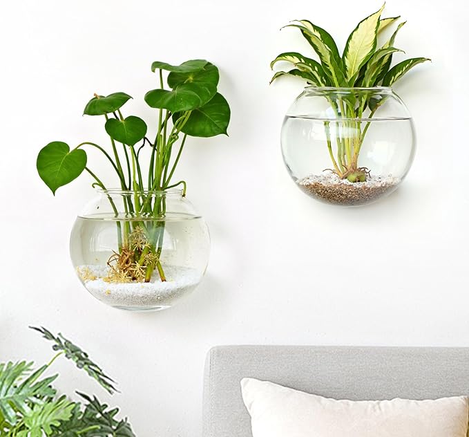DomeStar 2PCS Wall Flower Vases, Wall Hanging Glass Planter Propagation Station Mounted Vases for Hydroponics Plants Propagation Living Room Office Home Decor (5 inch)