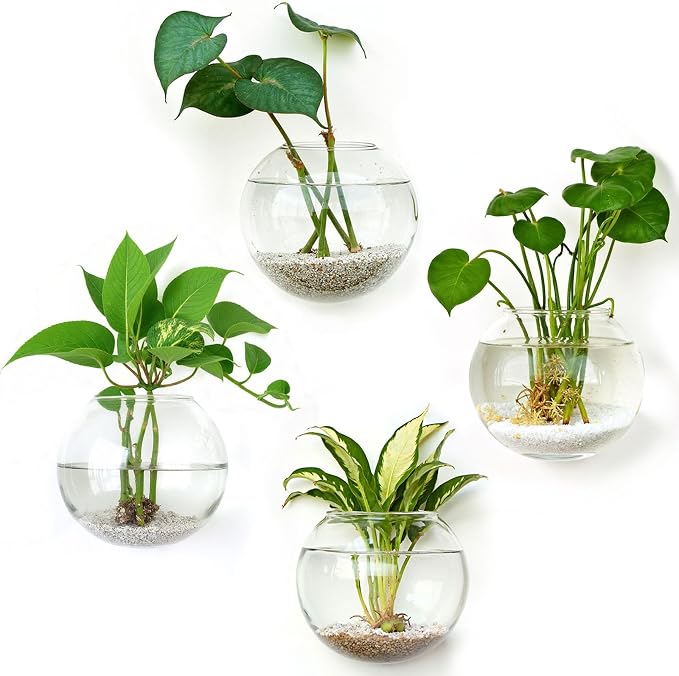 DomeStar Set of 4 Wall Planter, Wall Mounted Propagation Station Hanging Glass Vases Terrarium Station for Hydroponics Plants Home Office Decor