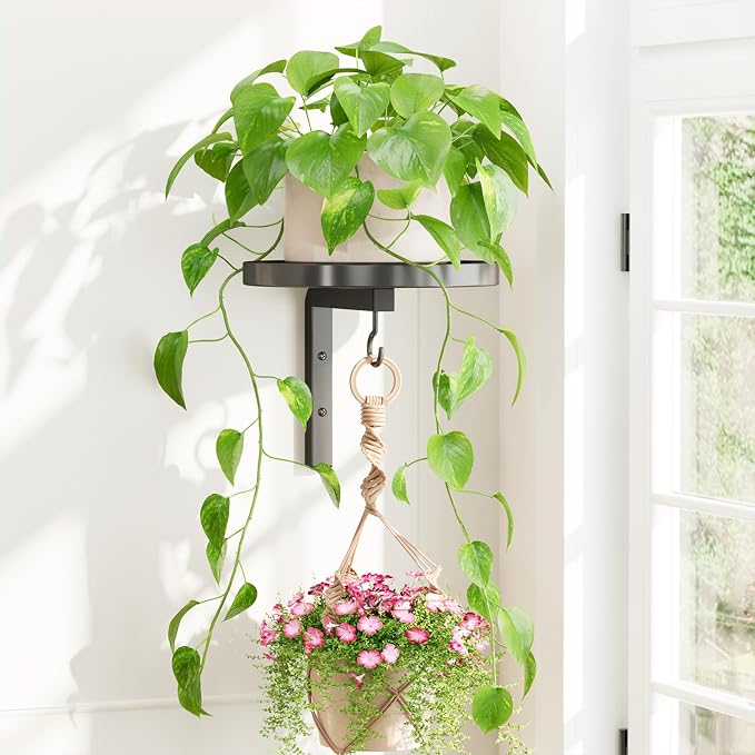 iDavosic.ly Wall Plant Holder for Indoor Outdoor, Metal Hanger with Hook, Floating Flower Display Stand for Window, Space Saving & Easy to Assemble (Pots/Chains/Plants Not Included), Black