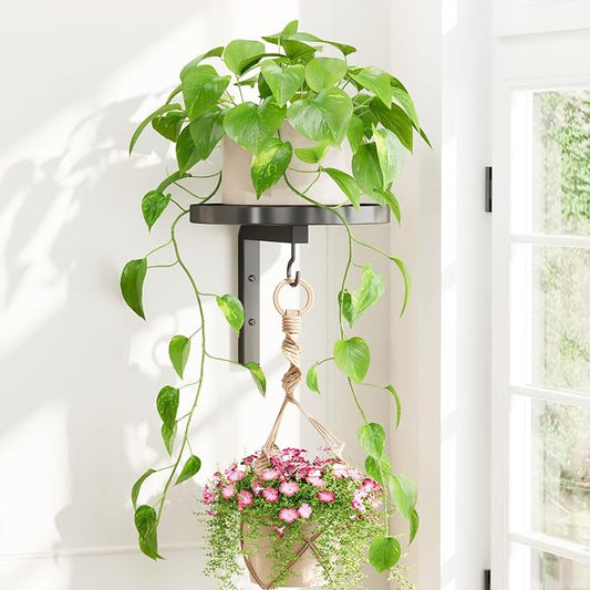 iDavosic.ly Wall Plant Holder for Indoor Outdoor, Metal Hanger with Hook, Floating Flower Display Stand for Window, Space Saving & Easy to Assemble (Pots/Chains/Plants Not Included), Black