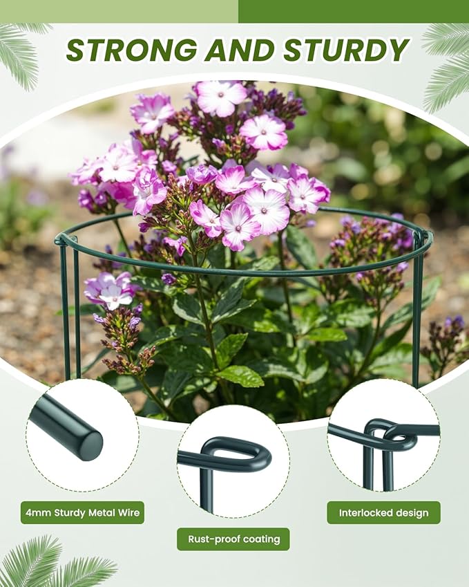 10-Pack Heavy-Duty Plant Support Stakes, Garden Sage 10" W x 16" H Half-Round Rust-Resistant Metal Garden Border & Climbing Plant Cage, Sturdy Ring Stake for Indoor/Outdoor Flowers, Vines, Vegetables