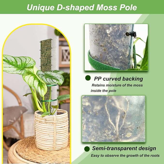 60"/40"/24" Metal Moss Pole, D Shape Sphagnum Moss Pole, Moss Poles for Climbing Plants, Monstera, Indoor Climbing Plants (2 Each of 60" 40" 24")