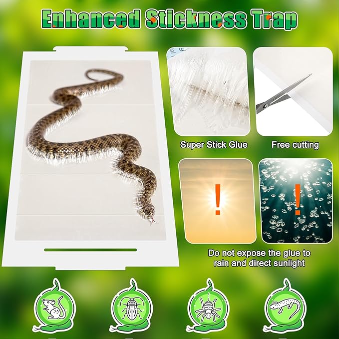 Qualirey 8 Pack Snake Glue Trap, 8 x 14 Large Sticky Snake Glue Boards for Inside Outside, Pre Scented Non Toxic Adhesive Traps with Enhanced Stickiness for Mouse Rat Lizard, Pet Safe Easy to Use