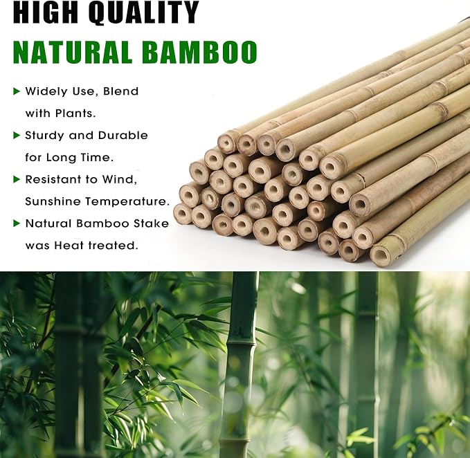 Plant Bamboo Post,8Feet,40Pack,Bamboo Garden Stakes,Bamboo Stakes,for Tomato,Beans,Vegetable and Flowers, Potted Plants,Indoor and Outdoor Climbing Plants (8Ft,40Pack)