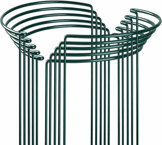 10-Pack Heavy-Duty Plant Support Stakes, Garden Sage 10" W x 16" H Half-Round Rust-Resistant Metal Garden Border & Climbing Plant Cage, Sturdy Ring Stake for Indoor/Outdoor Flowers, Vines, Vegetables