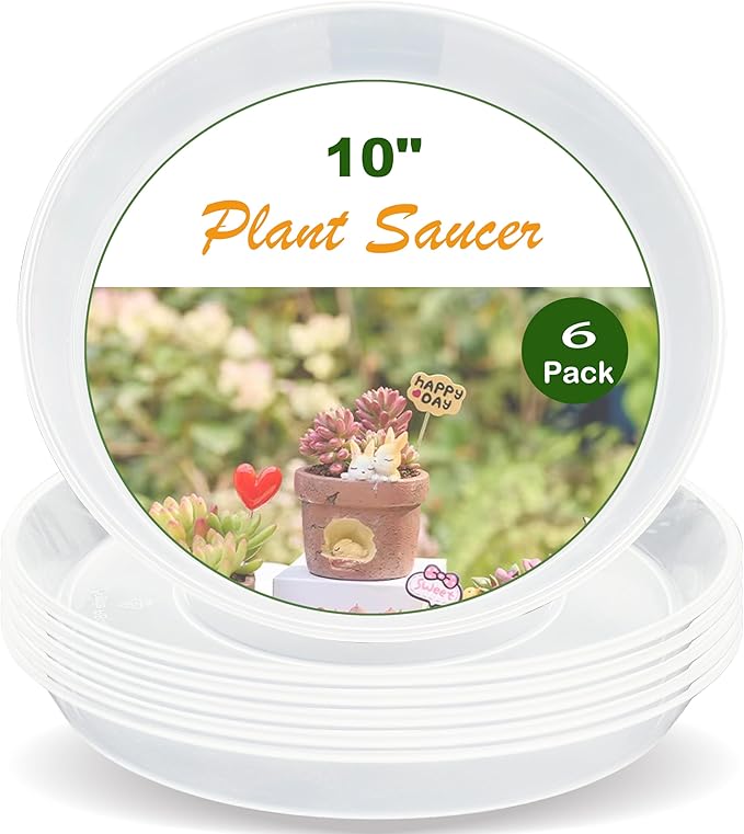 LWALRS Plant Saucer Tray 10 inch, 6 Pack Plastic Plant Saucers for Indoors Outdoor, Heavy Duty Drainage Drip Water Trays for Planter Pots Flower, Flower Saucers for Pots Base (10", Clear)