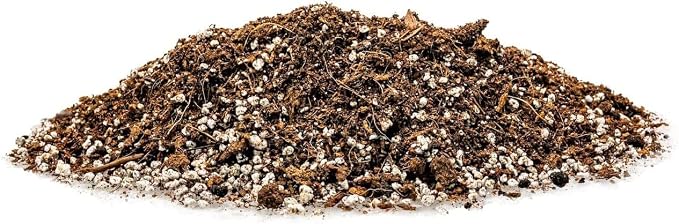 GARDENERA Premium Organic Potting Soil - 2 Quart - The Ideal Growing Medium for Delicious and Nutritious Homegrown Potatoes