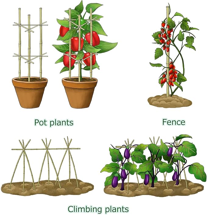 Cambaverd Bamboo Stakes 4ft Natural Plant Stakes for Tomatoes, Beans, Climbing Plants Support - 25 Pack Bamboo Sticks for Plants