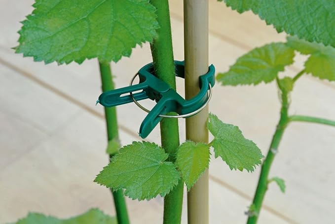 Plant Clips Garden Clips for Supporting Plants, Flowers and Vines, Gentle Durable Plant Support Clips Set (48 Large + 48 Small)