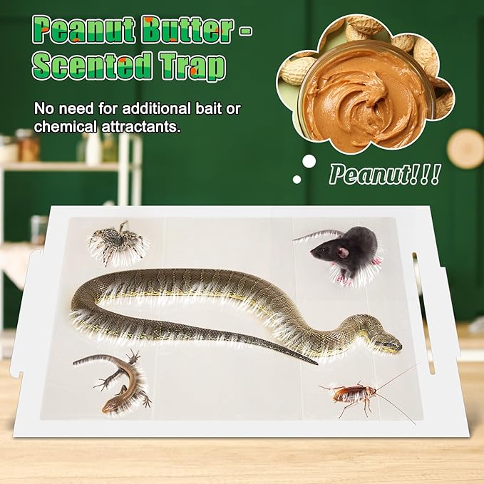 Qualirey 8 Pack Snake Glue Trap, 8 x 14 Large Sticky Snake Glue Boards for Inside Outside, Pre Scented Non Toxic Adhesive Traps with Enhanced Stickiness for Mouse Rat Lizard, Pet Safe Easy to Use