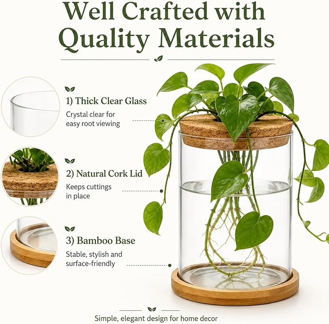 Glass Plant Propagation Stations, 2PCS Hydroponic Vases with Wooden Lid and Bamboo Stand for Plant Growing, Home & Office Decor