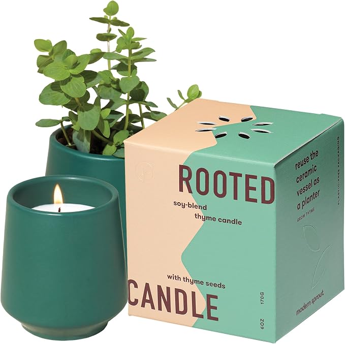 Modern Sprout - 2 in 1 Tonka Bean Scented & Soy Candle with Seeds that Grows into Thyme Plant - 6 oz w/ 42 hr Burn time in Matte Glaze Ceramic Vessel Ideal for Indoor Herb Garden