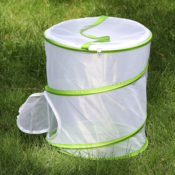 Insect and Butterfly Habitat Cage Terrarium Pop-up 12" x 14" Tall