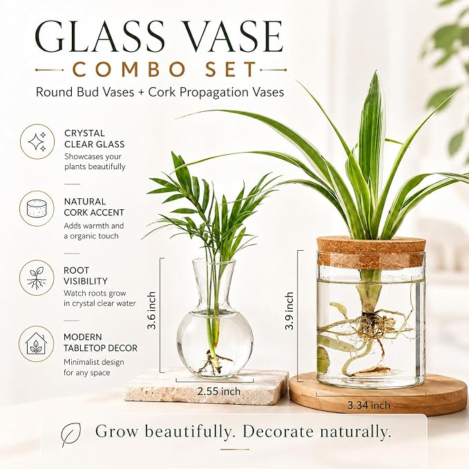 Plant Propagation Stations, 2 Style Glass Planter Terrariums, Propagation Vases for Plant, Plant Propagation Jars for Hydroponic Planter Home Office Tabletop Decoration (8)