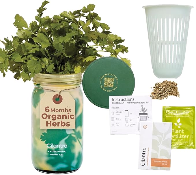 Modern Sprout Mason Garden Jar - Self-Watering Hydroponics Growing System Kit with Organic Herb Seeds - Jar Planter for Indoor Herb Garden - Seed Starter Kit - Home Decor & Gifting - Cilantro